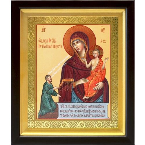 Икона Божией Матери Нечаянная Радость, киот 19*22,5 см икона нечаянная радость божией матери светлая размер 14 х 19 см