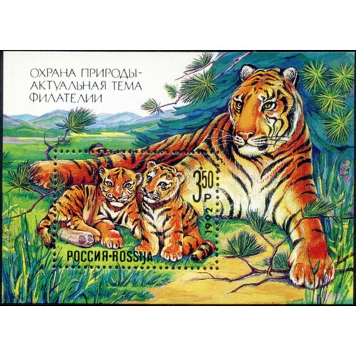 значок pinpinpin амурский тигр Россия-1992. Охрана природы. Амурский тигр. Блок. Негашеный