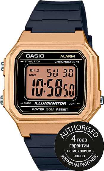 Наручные часы CASIO Collection Men 41386