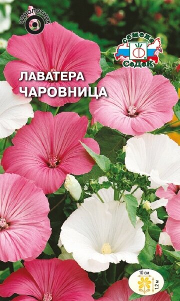 Лаватера чаровница смесь семян ( 1 уп: 03 г )