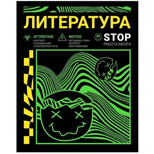 Тетрадь предметная Неоновый смайл, 48 листов в линию Литература, обложка мелованный картон, неоновая краска, блок 65 г/м marvel тетрадь предметная 48 листов линейка литература человек паук