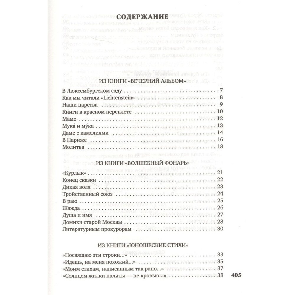 Волшебный фонарь (Цветаева Марина Ивановна) - фото №11