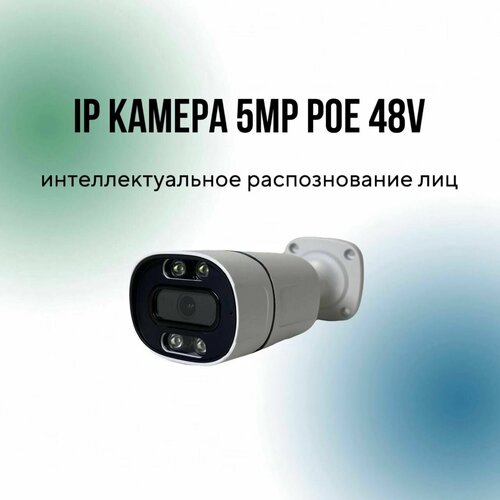 IP камера видеонаблюдения 5 Мп 25921920 POE12V ONVIF H265-H265X IP66 3900₽