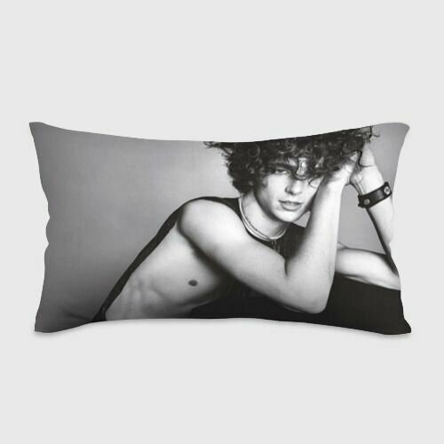 Timothee Chalamet Vogue 2022 Подушка