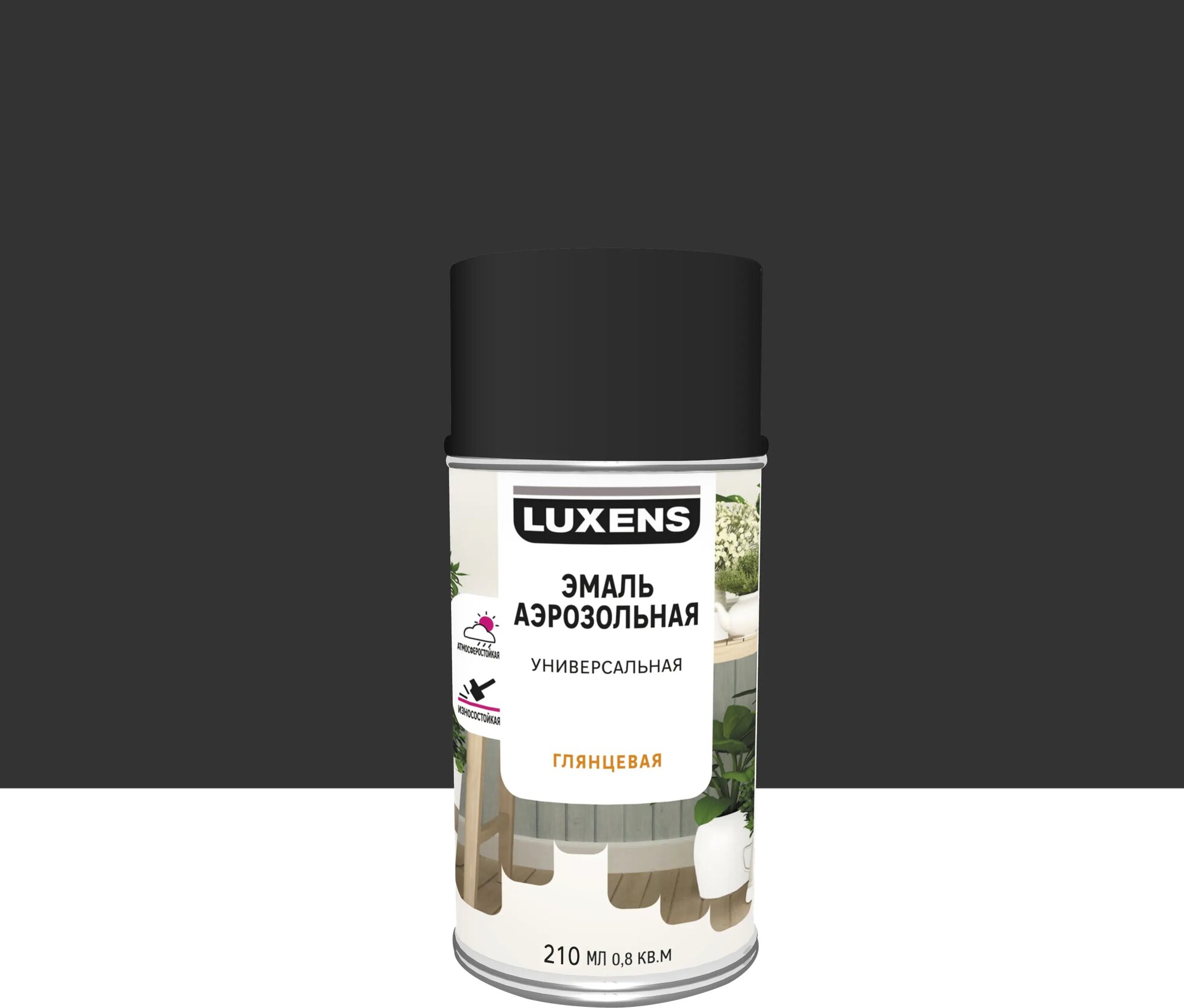 Эмаль аэрозольная декоративная Luxens глянцевая цвет черный 210 мл