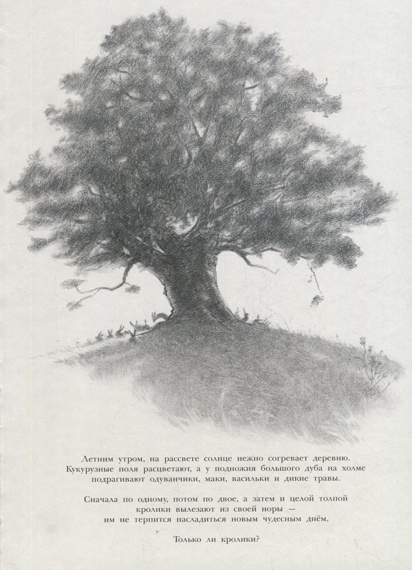 Заяц и кролики — фото 1