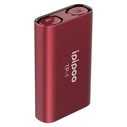 Беспроводные наушники ipipoo TP-1 black 143000₽