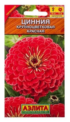 Цинния красная «Крупноцветковая» спайка 10 пачек