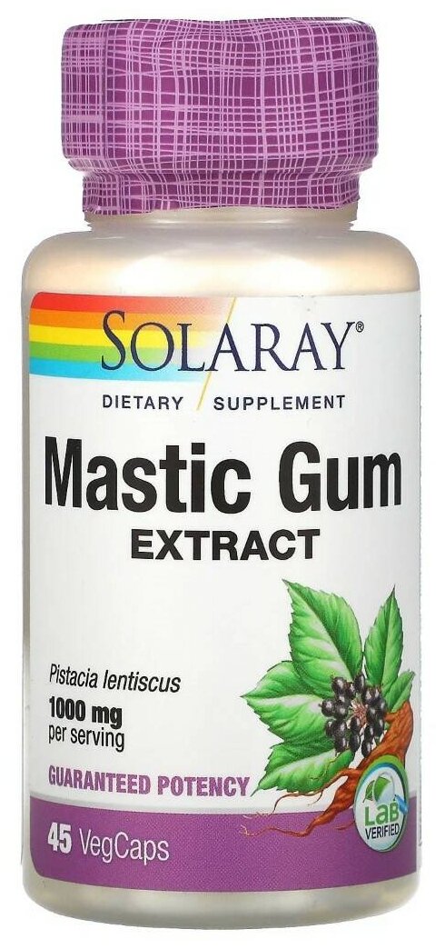 Mastic Gum Extract, 1000 мг, 45 шт.