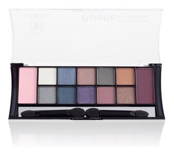 Тени для век палетка Triumph Color Palette Eyeshadow 04 сине-фиолетовая палитра с шоколадными оттенками