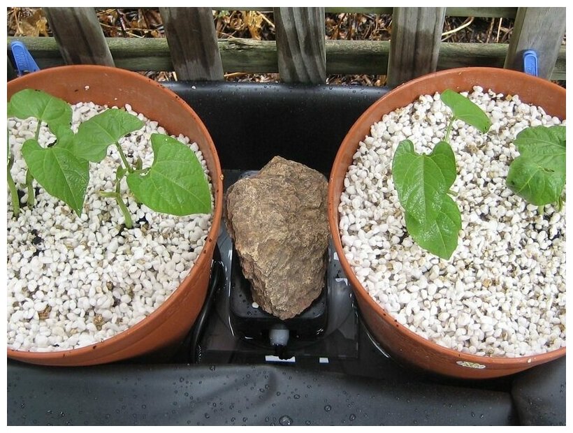 Перлит влагоудерживающий, почвоулучшитель, для растений, 20 Литров - фотография № 4