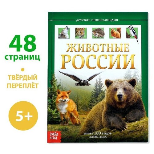 Детская энциклопедия в твёрдом переплёте «Животные России», 48 стр.