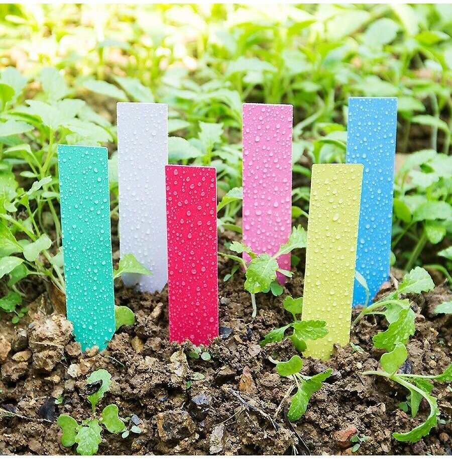 Набор цветных садовых меток с карадашом 5 наборов (100 шт) - фотография № 3