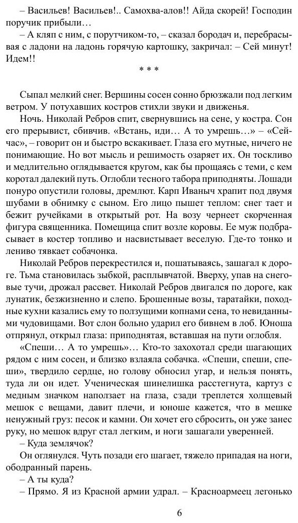Пейпус-Озеро (Шишков Вячеслав Яковлевич) - фото №6