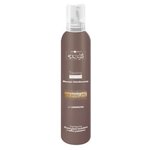 Hair Company Мусс восстанавливающий Inimitable Style Treating Mousse - изображение