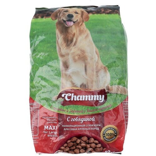 Chammy Сухой корм Chammy для собак крупных пород, говядина, 12 кг