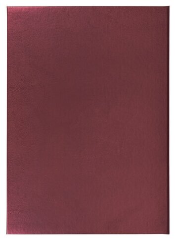 Папка адресная бумвинил "С ЮБИЛЕЕМ!", формат А4, бордовая, индивидуальная упаковка, STAFF, 129579 - фото №8