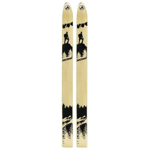 Лыжи деревянные «Лесные», 145 см