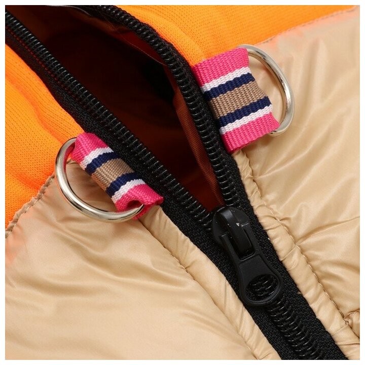 Куртка для собак на молнии, размер 16 (ДС 36 см, ОГ 46 см, ОШ 35 см), бежевая с оранжевым - фотография № 7