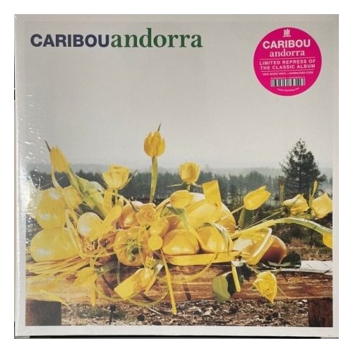 Виниловые пластинки, CITY SLANG, CARIBOU - Andorra (LP)