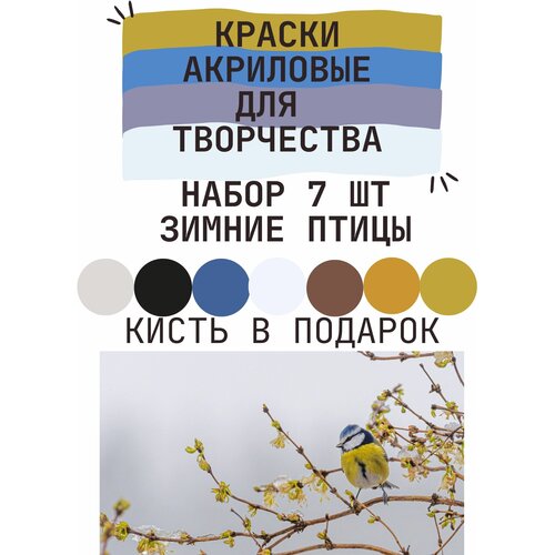 Краски акриловые, набор 7 штук, Зимние птицы