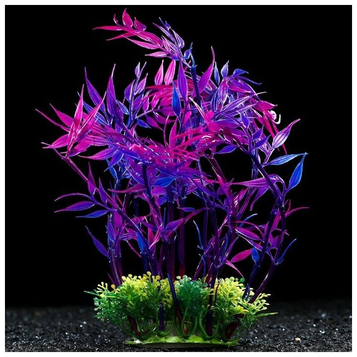 Растение искусственное аквариумное, 22 см, фиолетовое Пижон Аква 7523996 . - фотография № 1