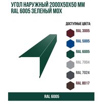 Угол наружный 2000х50ммх50мм RAL 6005 Зеленый мох