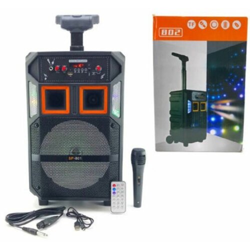 Активная напольная колонка SP-801 549200₽