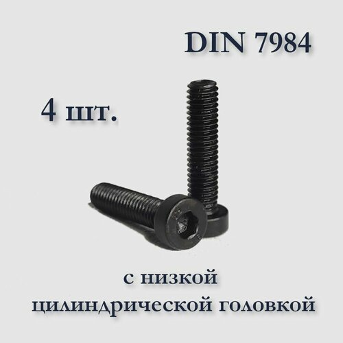Винт DIN 7984 М6х20 с низкой цилиндрической головкой под шестигранник, оксидированный, 4 шт.