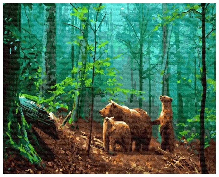 Картина по номерам Три медведя в лесу, 40x50 см — купить в  интернет-магазине по низкой цене на Яндекс Маркете