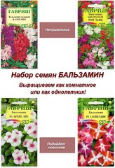 Набор семян, семена комнатных цветов Бальзамин, 4 пакета