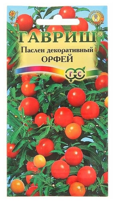 Паслен Орфей декоративный 12шт Комн (Гавриш) - 10 пачек семян