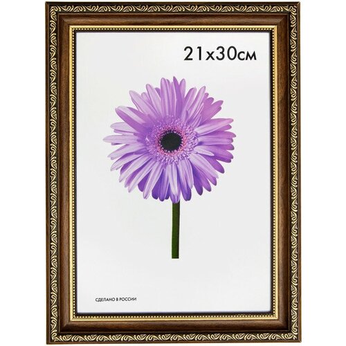 Фоторамка dorothy 210х300мм коричневая пластик 1574₽