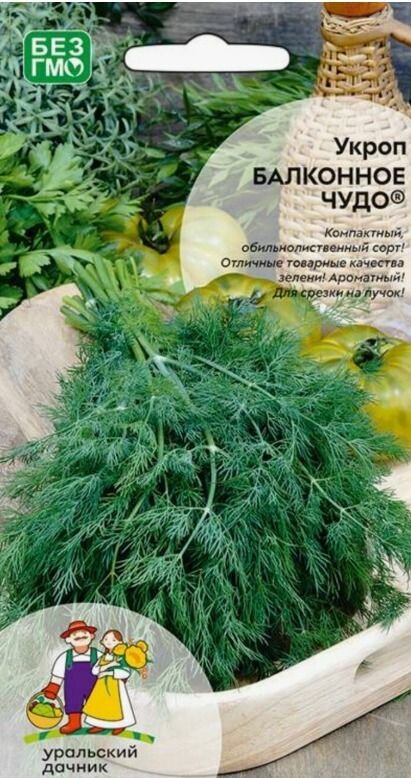 Семена Укроп Балконное чудо