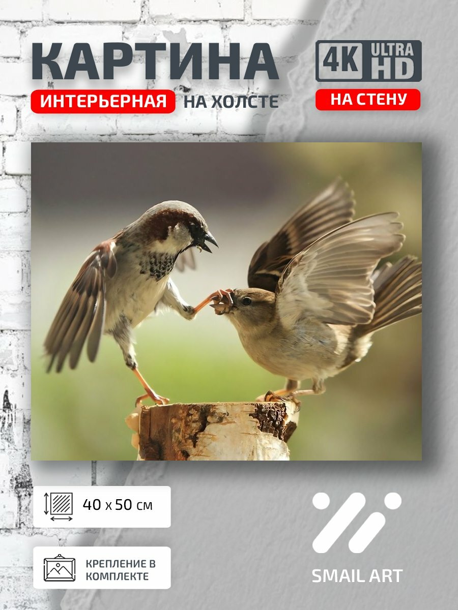 Картина на холсте интерьерная 40 на 50 на стену Пеньке Mood для кабинета атмосфера интерьер