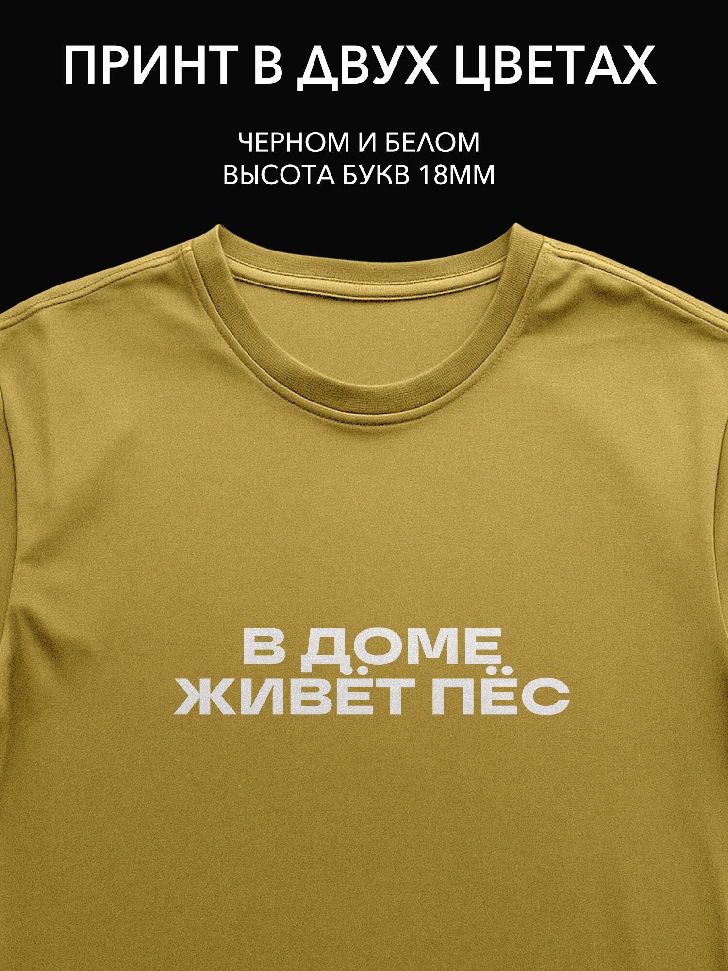 Термопринт надпись "В доме живёт пёс" для оформления детской комнаты на одежде, футболках, худи и сумках.