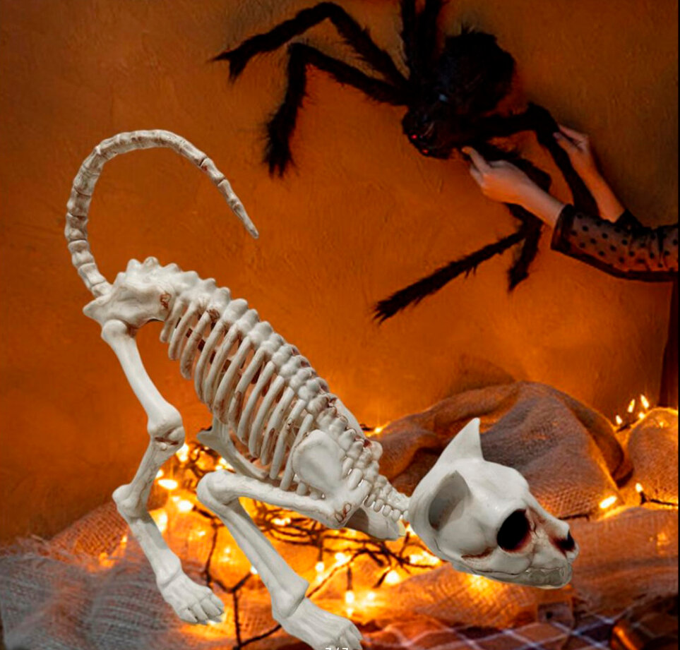 Скелет кошки "Сфера", реалистичный, пластик, белый, 30 см x 17 см x 5 см — фото 1