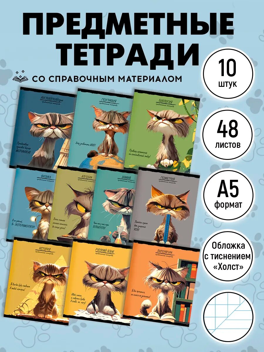 Набор предметных тетрадей Prof-Press, 10 шт, 48 листов, со справочным материалом, в клетку и линейку