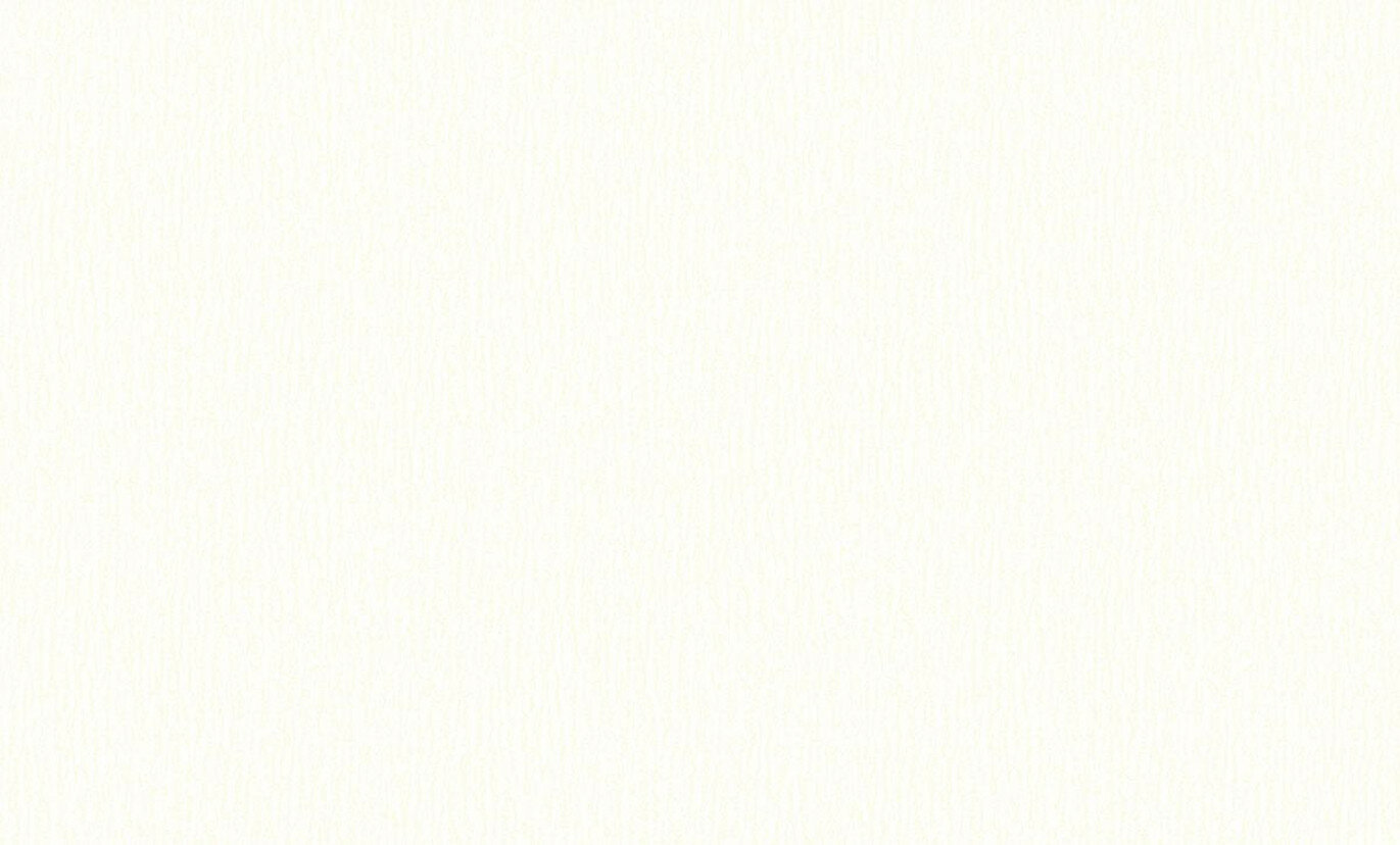 Флизелиновые обои ERISMANN Defender Color 2856-2 бежевые 106х25 м