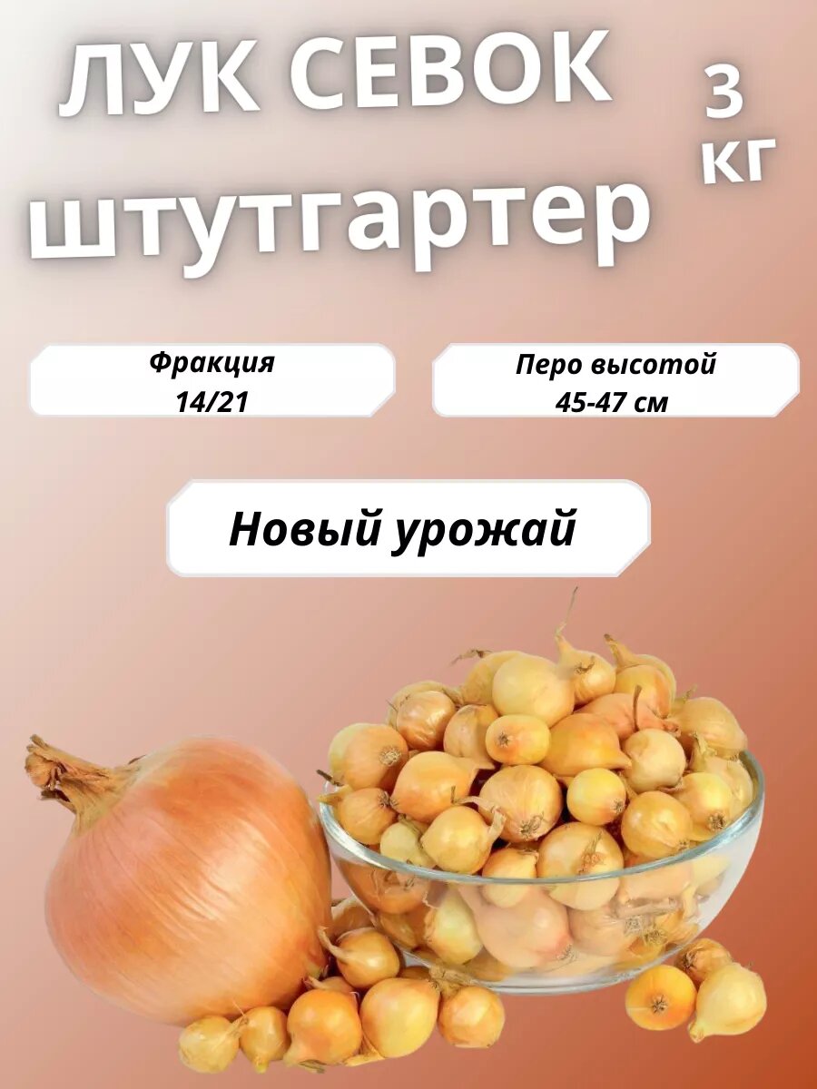 Лук севок Штутгартер Ризен 3 кг