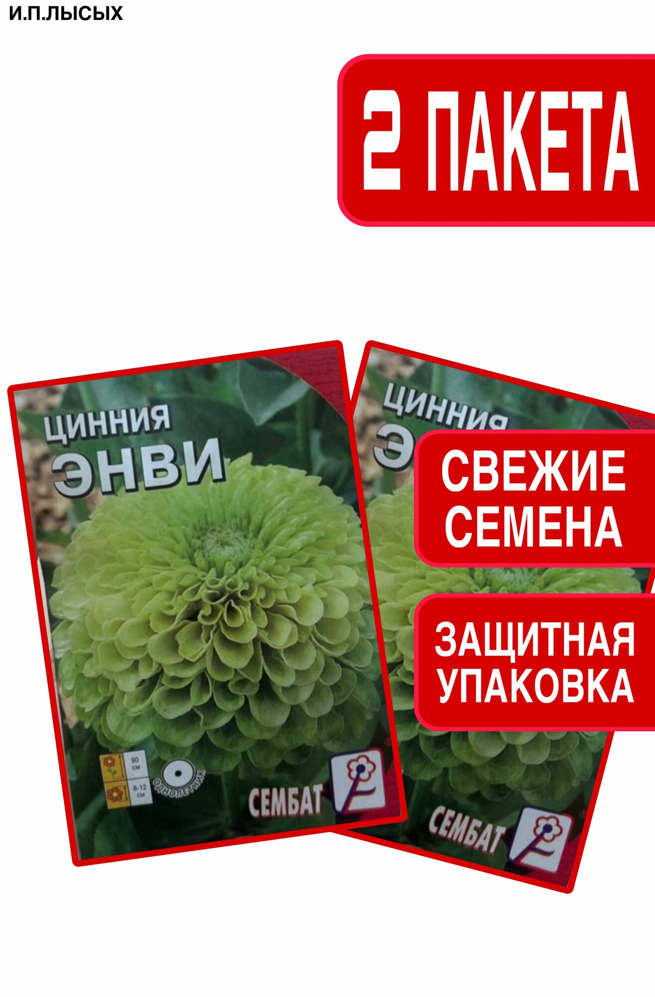 Семена Цинния 