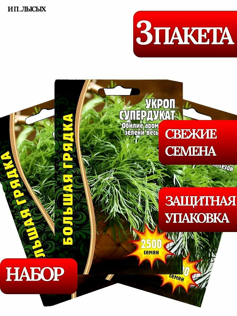 Семена Укроп 