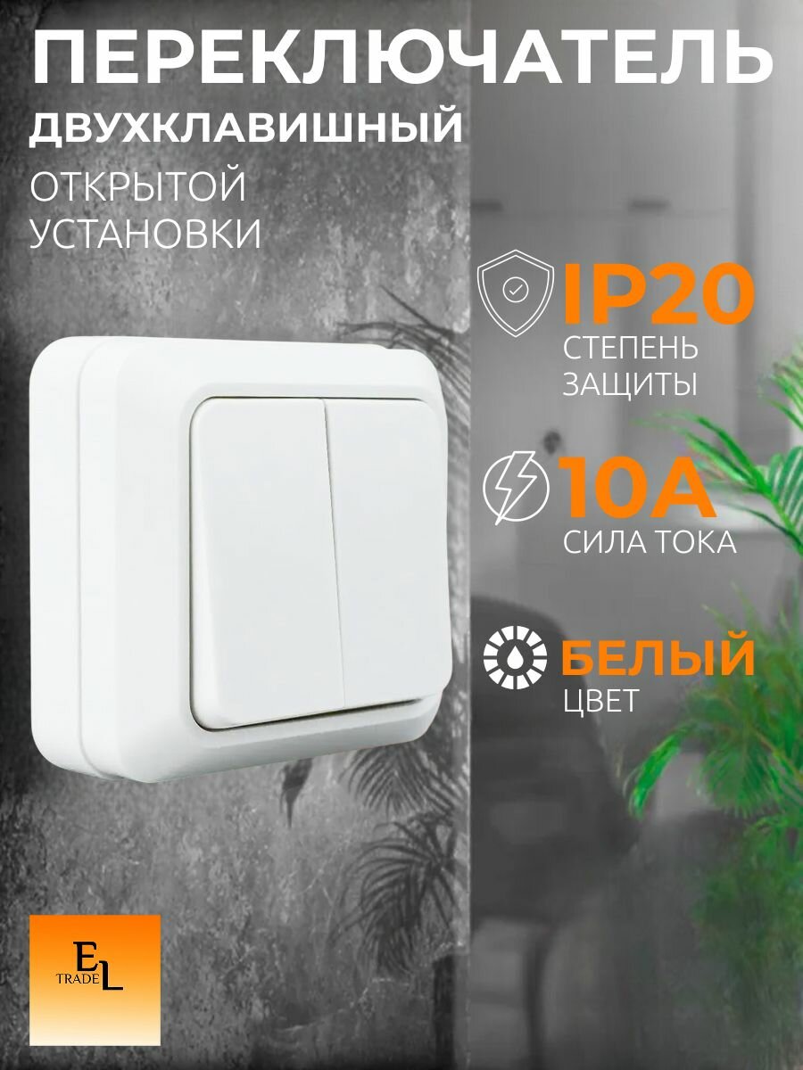 Выключатель двухклавишный открытой установки , IP20,10А, 250В, белый, Ладога