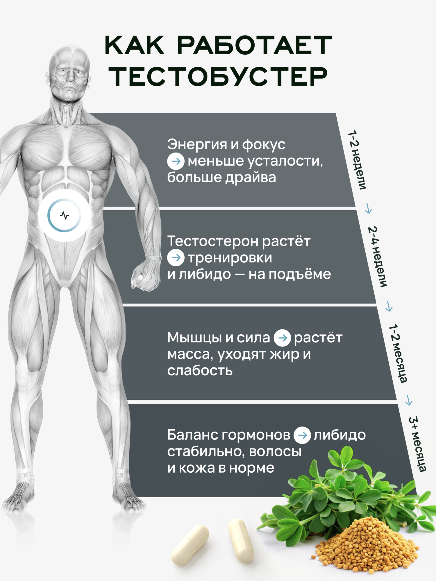 Тестобустер, Бустер тестостерона, 120 капсул. Для набора мышечной массы, выносливости, повышения либидо и потенции — фото 1