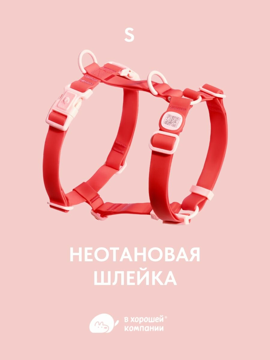 Анатомическая прогулочная шлейка для собак мелких пород IN GOOD COMPANY (S / красный / неотан)