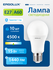 Лампочка светодиодная Ergolux A60, 15W, цоколь E27 дневной белый ...