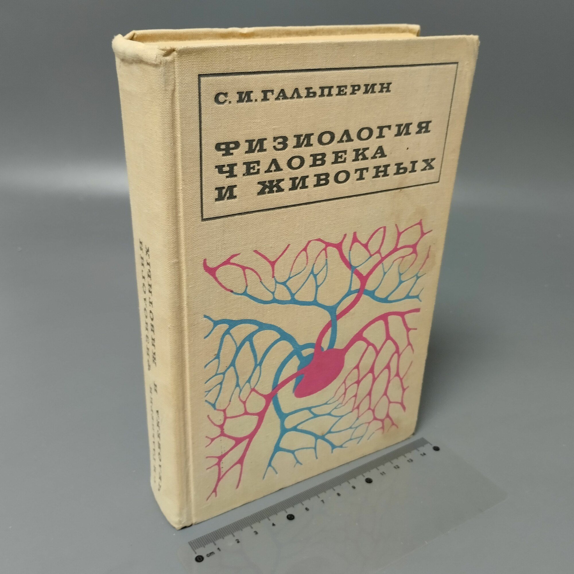 Учебники по физиологии человека и животных для вузов - купить по низкой ...