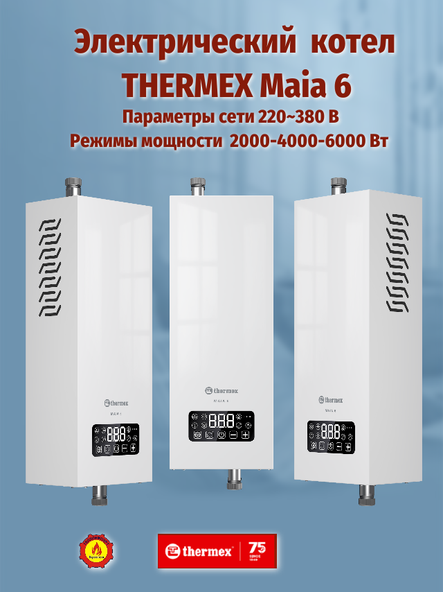 Электрический котел THERMEX "Maia" 6 220-380 В 2-4-6кВт подключение термостата