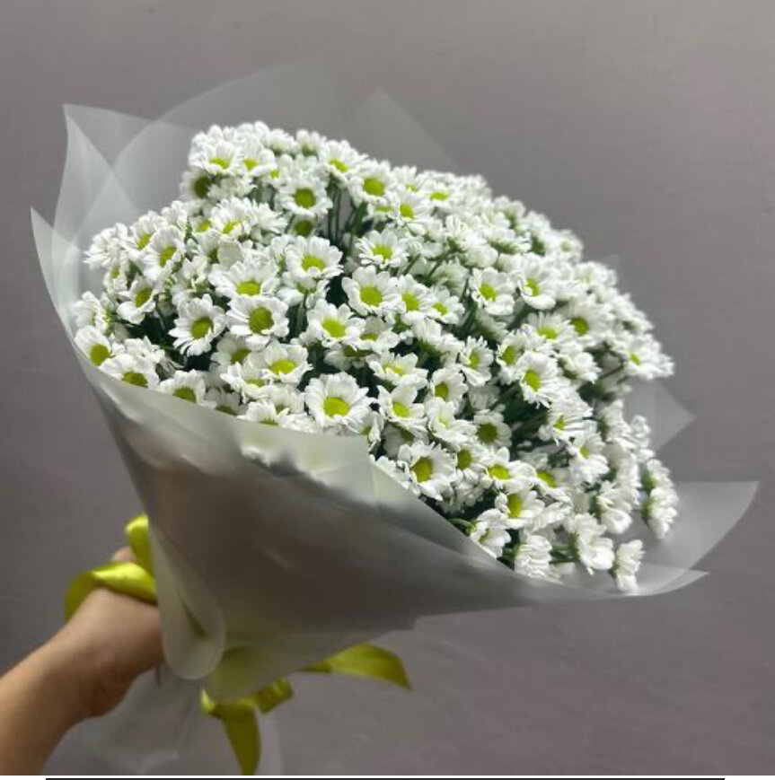 Букет с ромашкой Сантини