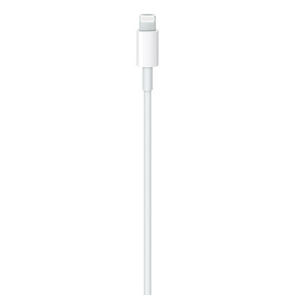 Кабель Apple USB-C to Lightning Cable 2м (MW2R3) White / Белый — фото 1